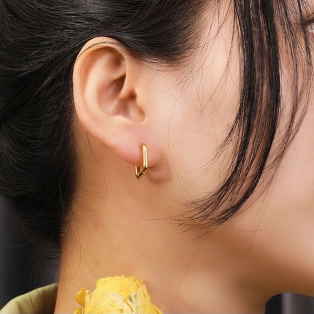 18k Gold Plated Stainless Steel Earrings - Picture 2 of 4
